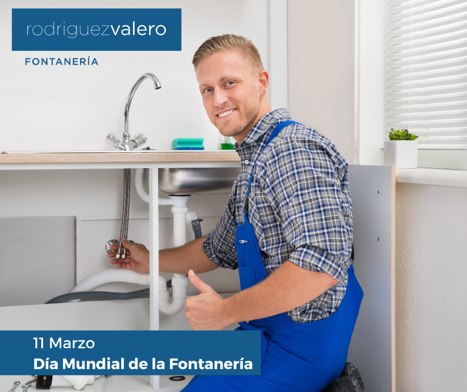 dia mundial de la fontaneria